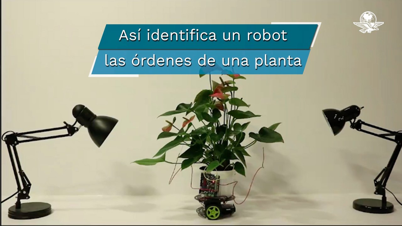 La increíble planta-robot