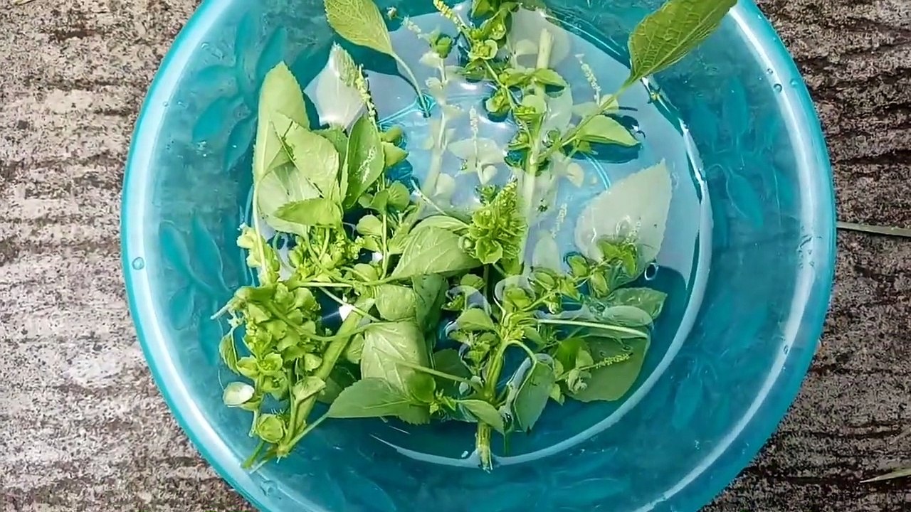 permanant hair removal method _ get rid of facial hair _ remedy for unwanted hair