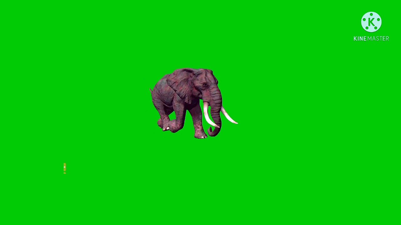 How to animal elephant green scene  video
