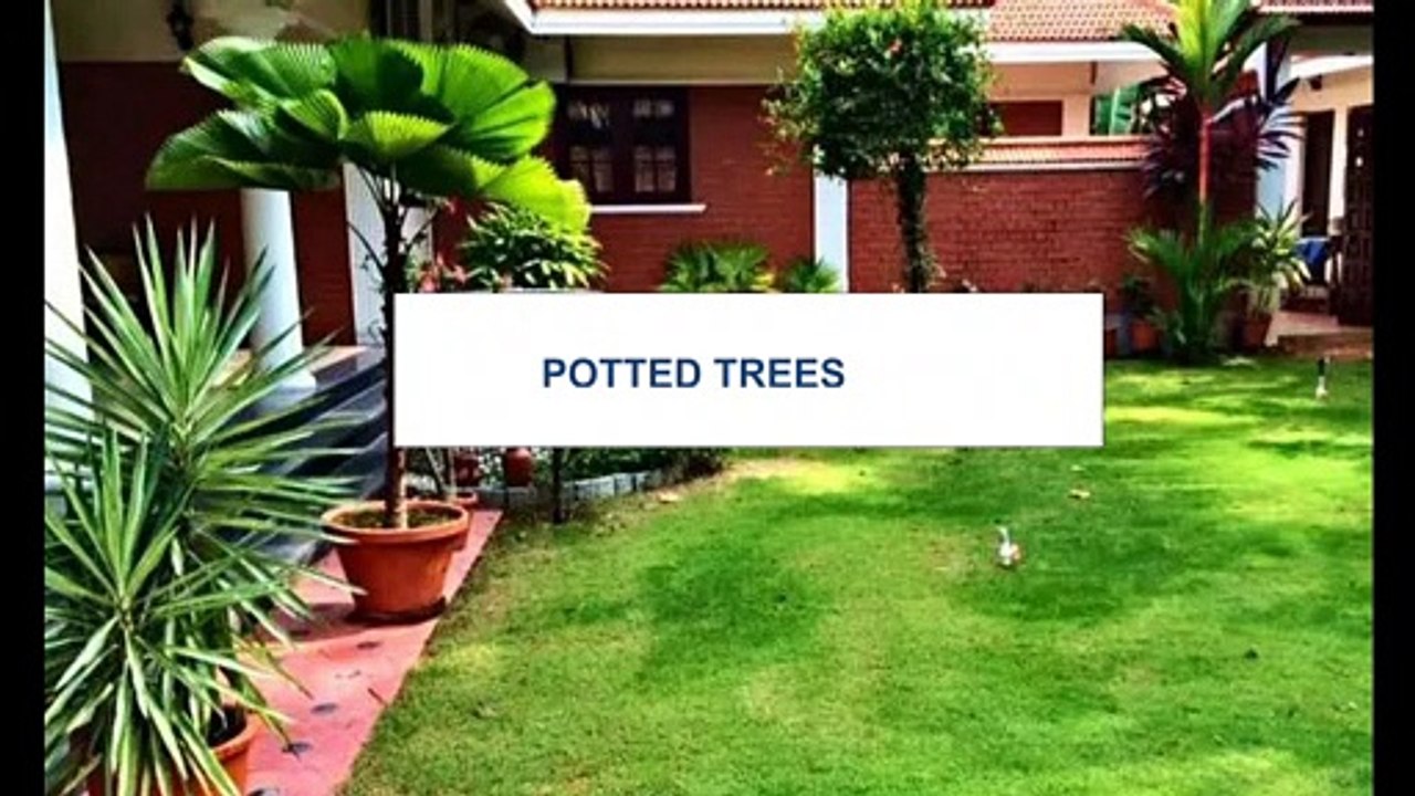 Best 20 Terrace Garden Ideas