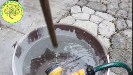 Bajo cero, temperaturas extremas ⛄❄ SOBREVIVIRÁN_