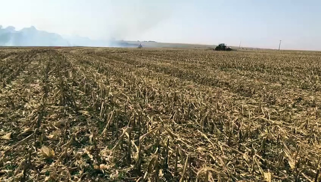 Continua o incêndio nas lavouras de Orizona, nordeste do Paraná
