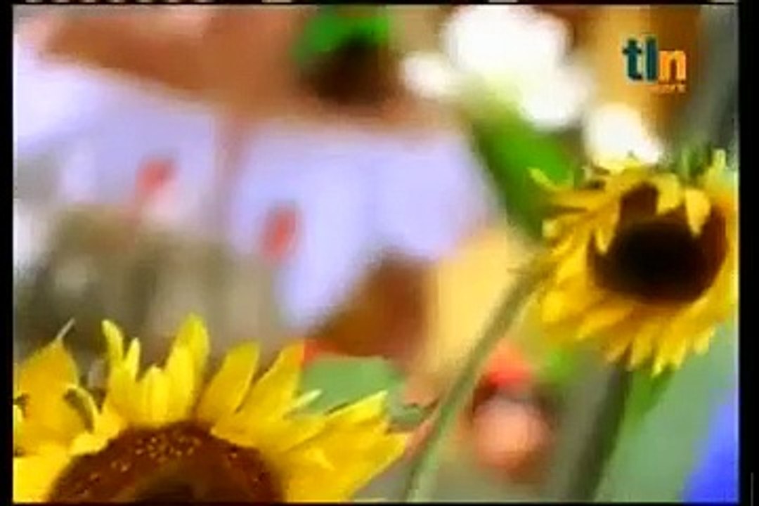 Camila - capítulo 01 parte 1