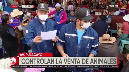 Falta de condiciones y maltrato en venta de animales persiste en mercados de Cochabamba