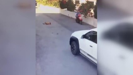 Pikabın çarpması sonucu yaralanan sokak köpeği tedavi altına alındı