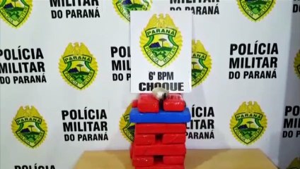 Trabalho realizado por cão de faro da PM resulta em apreensão de maconha na rodoviária de Cascavel