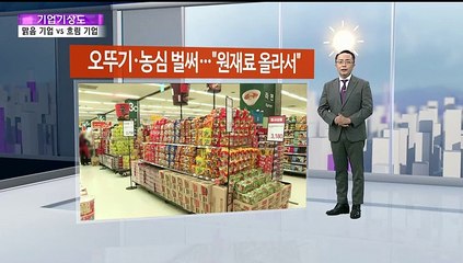 [기업기상도] '돈줄' 잡아 맑은 기업 vs '자승자박' 흐린 기업
