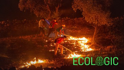 Climate Crisis: Why do governments ignore warnings?