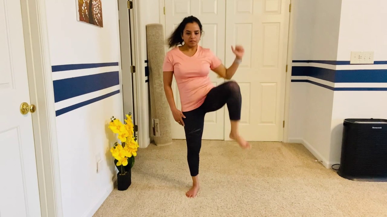 E2: ABS & FULL BODY NO IMPACT BEGINNERS HIIT Cardio Workout at Home | Burn upto 500 calories !