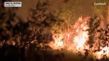 شاهد : موجة من حرائق الغابات المدمرة فى شمال شرق سيبيريا