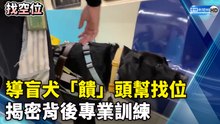 導盲犬「饋」頭幫找位 揭密背後專業訓練