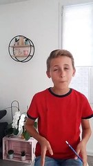 Un jeune garçon fait le buzz sur les réseaux sociaux avec son flash info vu plus d’un million de fois - Sa prestation commentée par de nombreux journalistes - Regardez
