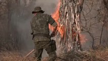 Las llamas devoran el 60% del parque estatal de Juquery, en Brasil