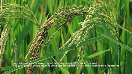 CANADA PR FOR FARMERS | Canada Farmer PR VISA | Farmer PR in Canada | Canada Farmer Program Details