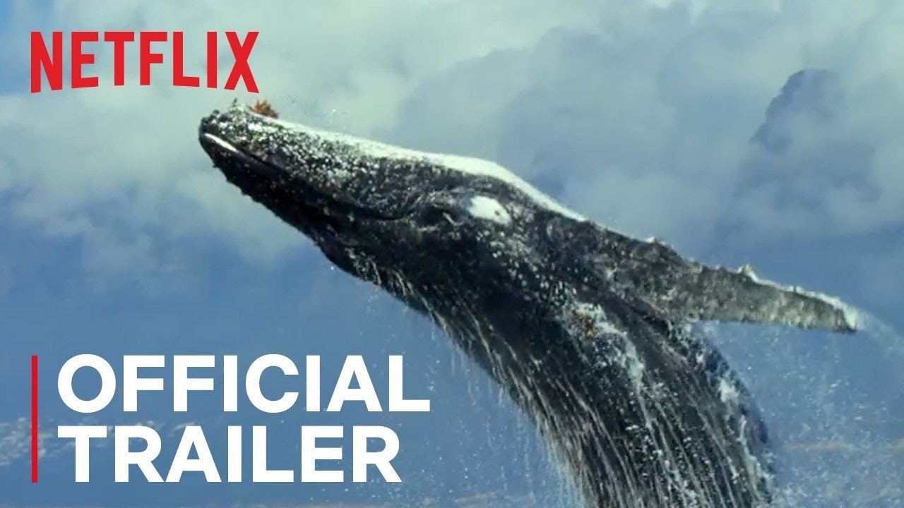 Our Planet - Trailer
