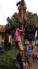 Panjat pinang bocil ngakak | part 2