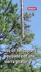 El helicóptero-sierra, el último invento a lo grande de EEUU para podar árboles