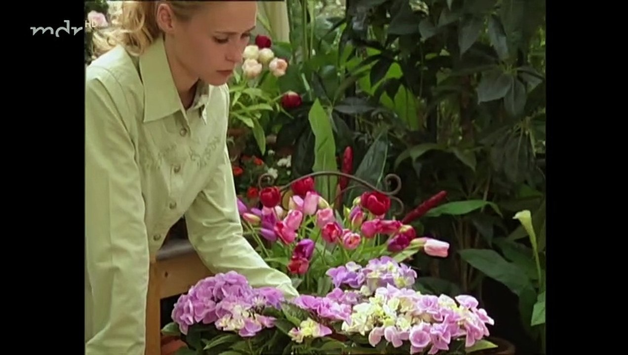 Sturm der Liebe Folge 420