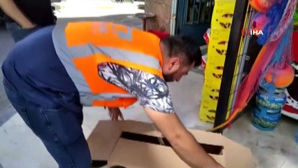 Pendik’te sokağa inen yaralı şahin tedavi edildi