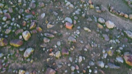 Kırgızistan, yeryüzündeki en eski sanat eseri olarak kabul edilen petrogliflere ev sahipliği yapıyor