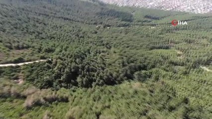 Drone ile tespit edildiler... Aydos Ormanı'na giriş yasağını ihlal eden alkollü 3 şahsa 2 bin 620 TL ceza
