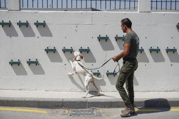'Çatalburun'lar uyuşturucu ile mücadele için eğitiliyor