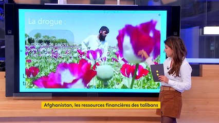 Afghanistan : les sources de financement des talibans