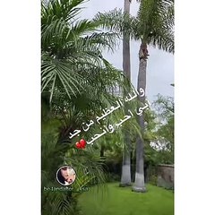 هند القحطاني: أبغي أحب واحد من مشاهير العرب