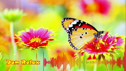 30 Minute Of Relaxation And Uplifting With Music  / Motivational Music, Focusing Energy For A New Day