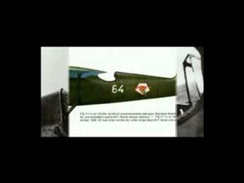 NIE PYTAJ O POLSKĘ-