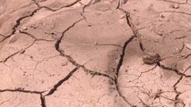 الأردن.. أزمة شح المياه في موسم الصيف تؤرق المزارعين وتهدد محاصيلهم