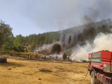 BALIKESİR - Dursunbey ilçesinde orman yangını çıktı