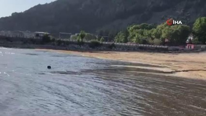 Son dakika haber | Dr. Erol Kesici: "Eğirdir Gölü'nde su seviye kaybı 50 metreyi aştı, çok şiddetli kuruma tehlikesi var"