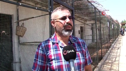 Hayvanat bahçesi değil ‘Huzur Çiftliği’