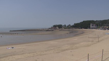 코로나·가을장마로 해수욕장 대부분 폐장 / YTN