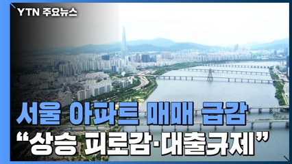 8월 서울 아파트 매매 급감..."집값 상승 피로감·대출 규제 영향" / YTN