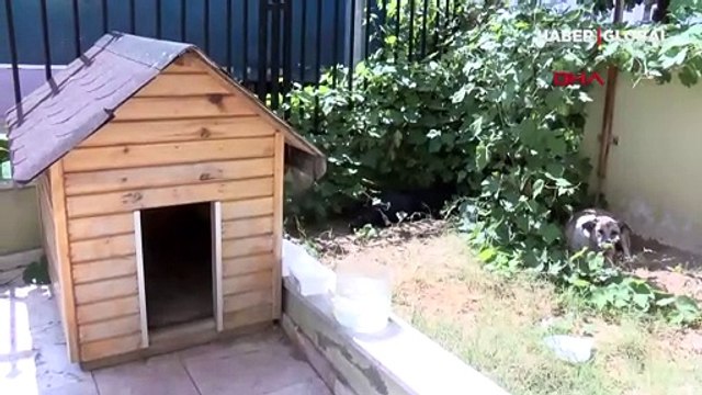 Gündem olan Daire 16'dan haber var! Belediye başkanı duyurdu: Köpük yerinde kalacak