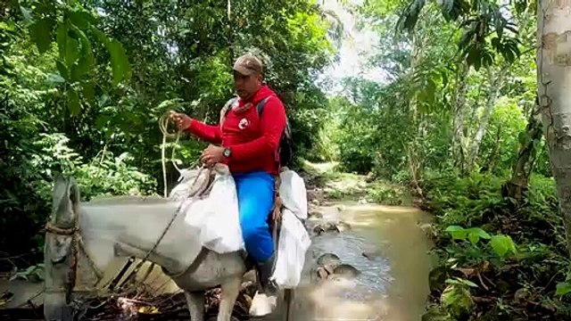 En Colombie, des vies brisées par l'explosion des mines