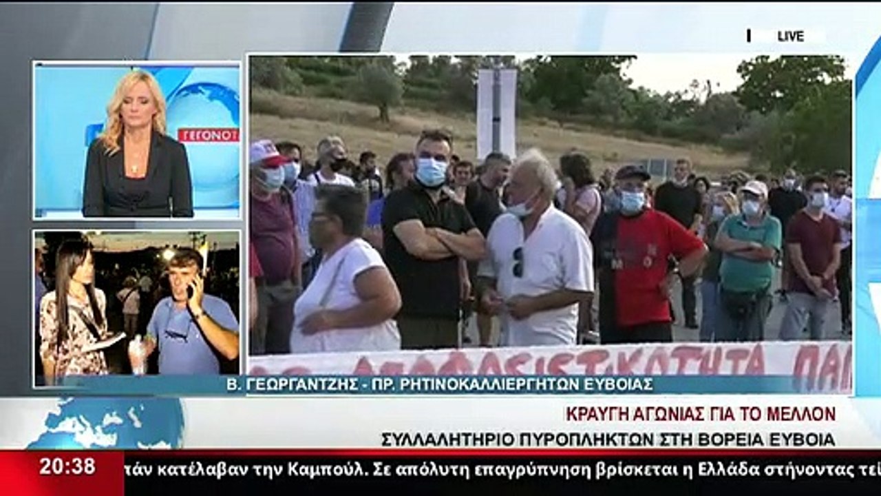 Ο Πρόεδρος ρητινοκαλλιεργητών Εύβοιας, Β.Γεωργα...