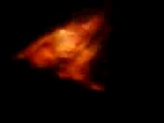 Confusions printanières x.3