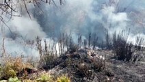 Incêndio em vegetação mobiliza Corpo de Bombeiros ao Cascavel Velho