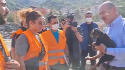 Son dakika haberi: KASTAMONU - Bakan Soylu, Kastamonu'daki sel felaketinin ardından kurtarılan köpeğe "Bozkurt" adını verdi