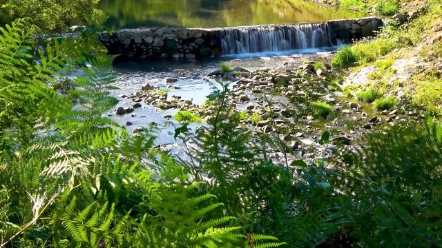 Waterfall Stock Footage HD VIDEOS NATURE Relaxing VIDEOS