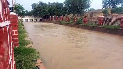 जिले के नागौर, मूण्डवा, खींवसर, कुचामन व जायल तहसीलों में बारिश