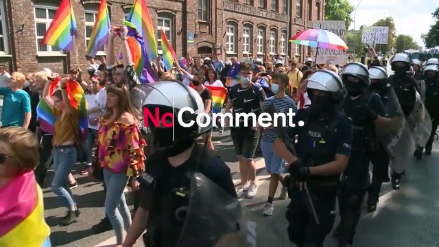 Polonya'da polis koruması altında LGBT yürüyüşü