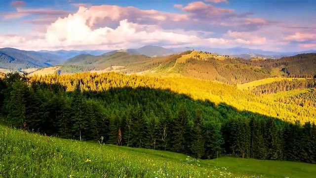 Meditation Music, Relaxation Emotional Healing, Soothing and Calming Scenes, Deep Sleep