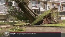 Moselle : un orage intense provoque de graves dégâts à Saint-Avold