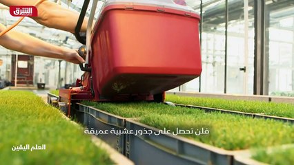 ...العشب المثالي لكرة القدم ....