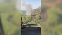Son dakika haber | Çıkan orman yangını kontrol altına alındı