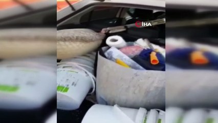 Otomobilin bagajında 11 kilo 450 gram uyuşturucu yakalandı